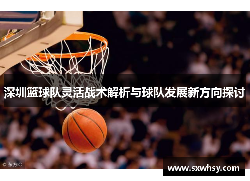 深圳篮球队灵活战术解析与球队发展新方向探讨