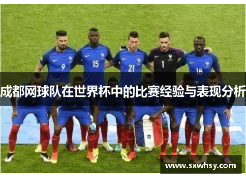 成都网球队在世界杯中的比赛经验与表现分析